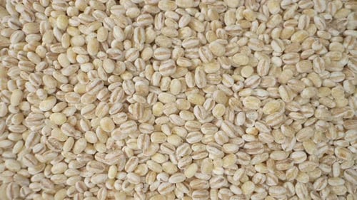 Barley seeds without hulls