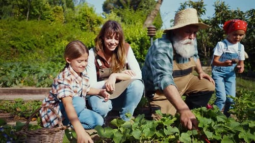 Family having fun in the vegetable garden