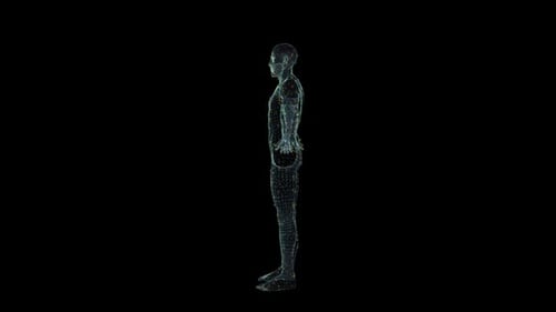 Modelo digital de estructura alámbrica humana que gira lentamente