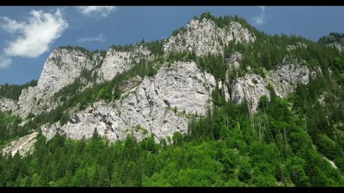 Perfect Mountains And Forest