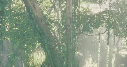 Lush Green Tree Surrounded By Mist in a Serene Forest Setting