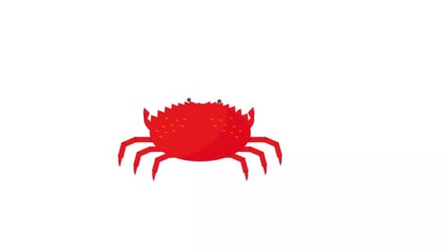 Flat Design Red Crab Transformation Animation