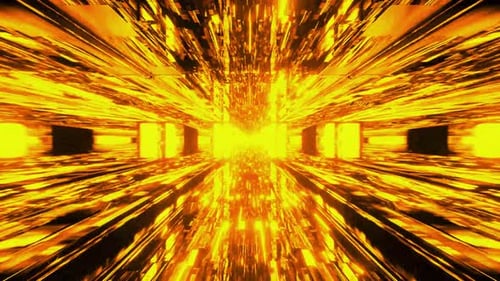 Digital Motion Loop