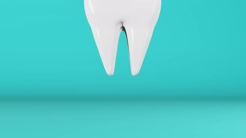 Animated 3D Tooth Model Disintegrates and Reappears for Dental Concepts