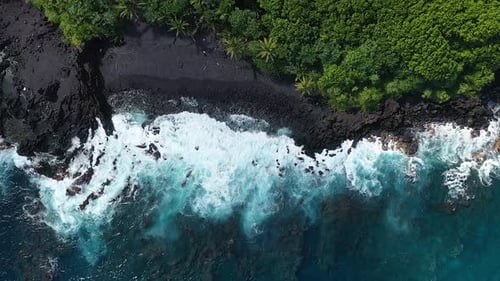 Crashing waves meet black sand shoreline and vibrant forest – top-down perspective