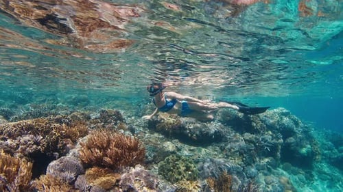 Woman in Blue Swimsuit Snorkeling in the Shallow Area of Tropical Sea and Slowly Swims Over the