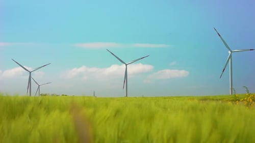 Wind Turbines Turning in Sunny Green Field