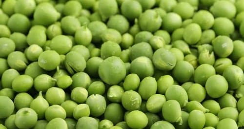 Pile of fresh green peas as background, closeup