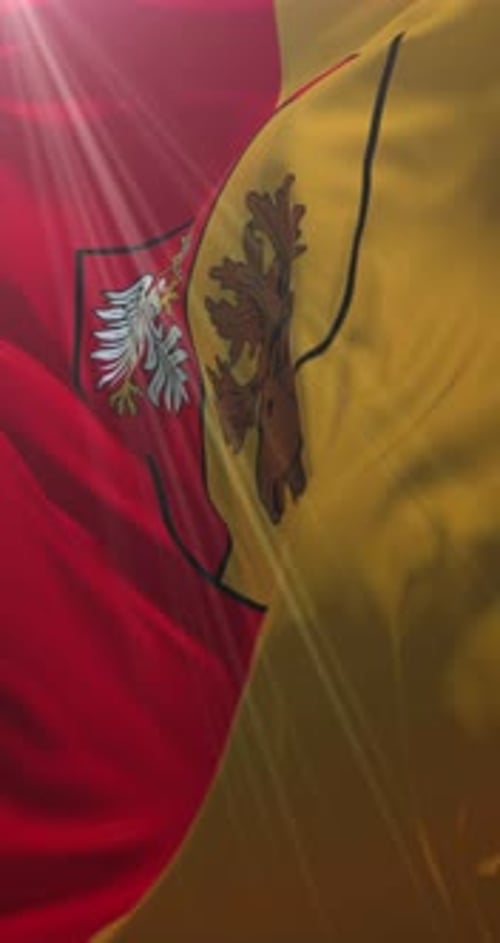 Waving Flag with Coat of Arms in Vertical Frame