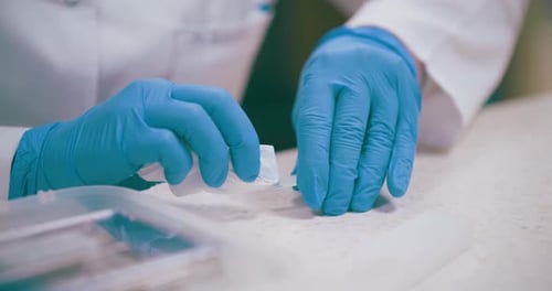 Scientist Working in Medical Laboratory Cancer Research Covic 19 Pandemic