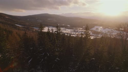 Aerial Over Trees in Valley