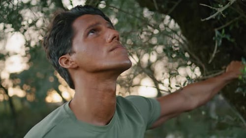 Portrait Farmer Examining Olive Tree at Sunset Outdoors. Serious Man Holding Branch