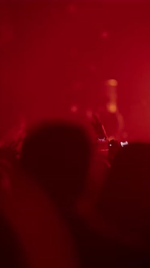 Silhouettes of People at a Concert at Night