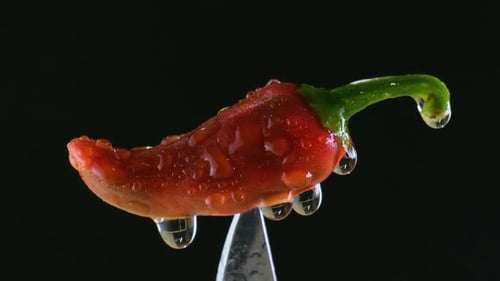 A fresh red chili pepper is being rinsed with water