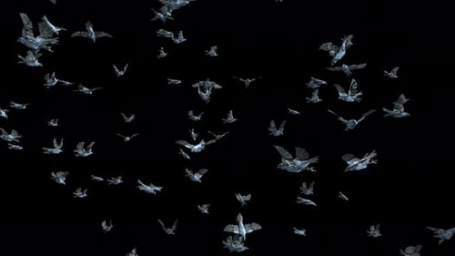 3D Animated Flock of Flying Birds