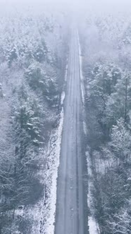 Road Through Beautiful Snowy White
