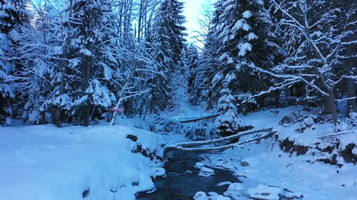 Luftaufnahme in Zeitlupe entlang eines wunderschönen verschneiten Winterbergwaldes.