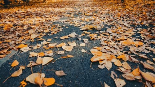 Panorama entlang einer Herbststraße