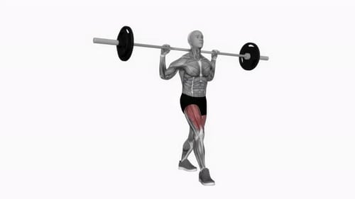 Barbell Lunge Exercise With Muscle Anatomy Highlight