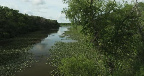 Spile Lake - Wetland Habitat With Vegetation In Osage Township, Missouri. aerial ascend