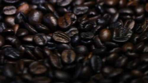 Dark Coffee Grains. Rotating and falling. Coffee beans. Close up of seeds of coffee. Beautiful seeds