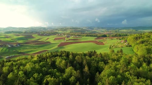 Revealing flight over lush green forest trees towards farmland,