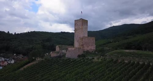Aerial View of Stone Castle and Vineyard
