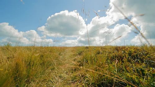 A Look Through the Eyes of a Person Walking Sunny Meadow with Cloudy Sky Wide View of a Sunny Meadow