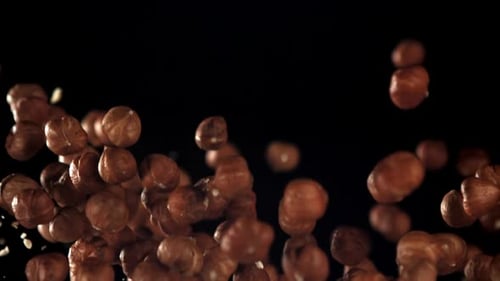 Hazelnuts Falling Upward Against a Black Background