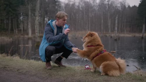 Man Training Chow Chow Dog in Park