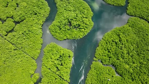 Tropical Mangrove Islands with Blue Water Siargao Philippines