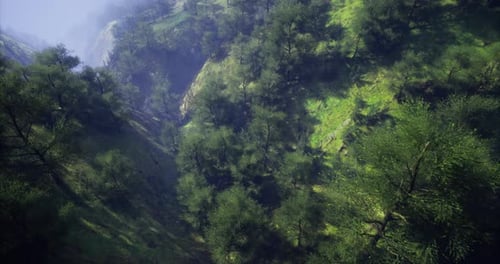 Lush Green Valley Surrounded By Misty Mountains During Early Morning