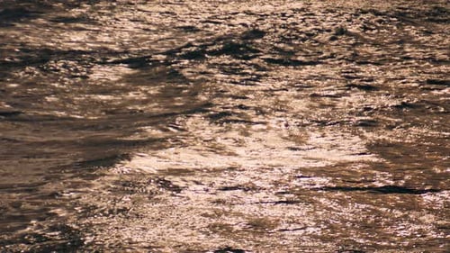 Golden Sunlight Reflecting on Ocean Water Ripples