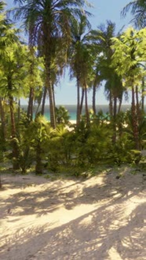 Tropical Beach with Coconut Palm Tree