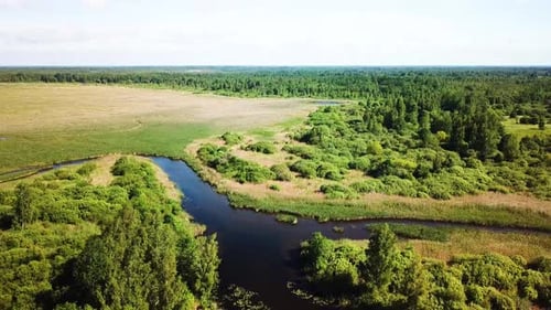Nature Of Dobeevskoye Lake 15