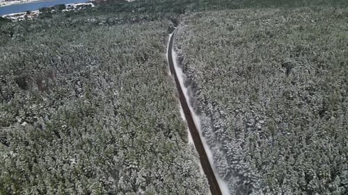 Vue prise par un drone de l'étroite route asphaltée entourée de pins forestiers enneigés sur fond de gel nuageux