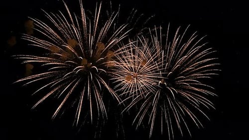 Echtes Feuerwerk Nahaufnahme auf tiefschwarzem Hintergrundhimmel auf dem Feuerwerksfest vor der Neujahrsparty
