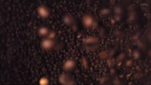 Kaffeebohnen, Superzeitlupe, von oben nach unten fallende Aufnahme. Hochgeschwindigkeitskaffeebohnen fliegen