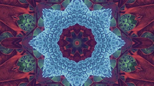 Seamless Looping Abstract Nature Kaleidoscope Pattern