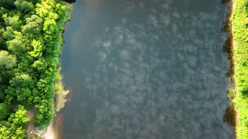Beautiful Summer Landscape Of River And Forest 11