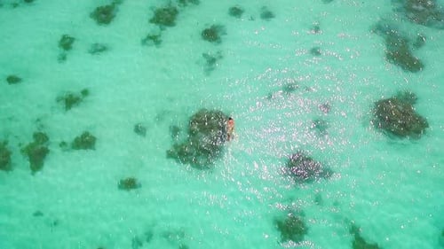 Aerial Drone Quadcopter of Young Woman Snorkeling,exploring Tropical Reef and Swimming
