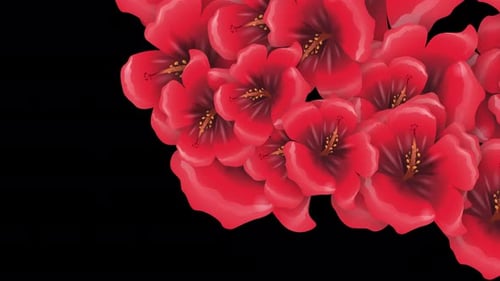 Decorative Red Flower Seamless Transition Overlay