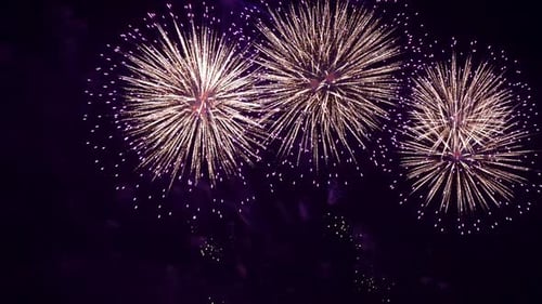 Brilliant Fireworks Exploding in the Night Sky