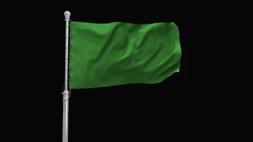 Isolated Green Screen Flag Waving Animation with Pole