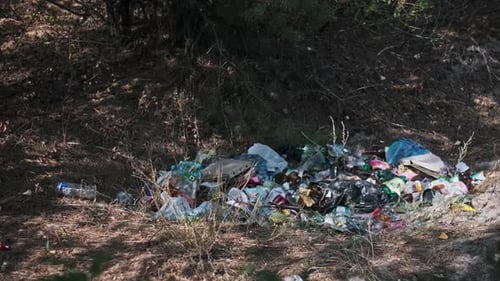 Garbage in Forest