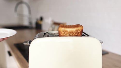 Toast Pops Up in a Kitchen