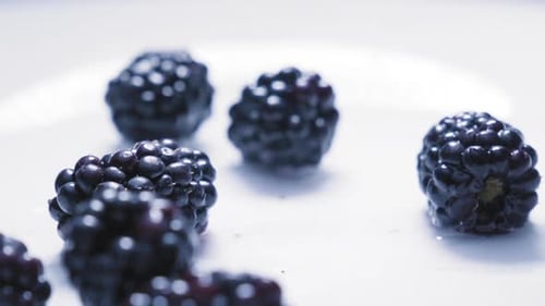 slowmotion of assorted berrys falling on to water