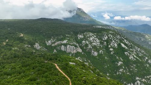 Enchanting Escape Aerial Perspective of the Enveloping Green Forest on the Mountain Range Near the