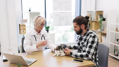 Veterinarian Administering Vaccine to a Cat Under Owner Supervision in Clinic