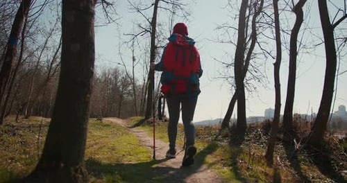 Backpacker Hiker Girl with Hiking Poles Walking Between Trees in a Mountain Forest Hispanic Teenager
